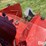 2014-case-ih-steiger-500-quadtrac-image-19