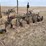 john-deere-pull-type-five-bottom-plow-image-5