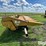 claas-830-image-4