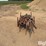 steel-fence-posts-image-4