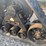 #5358-•-zuidberg-combine-tracks-40010264a-inv#5358-image-17