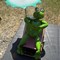 equipment-&-auto-consignment-auction---ring-1-image-3