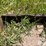 john-deere-10-image-11