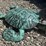 #108-•-metal-art---medium-teal-turtle-image-1