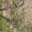 #9961-•-tractor-tire-chains-image-2