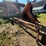 #9904-•-allis-chalmers-corn-chopper-image-8