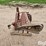 international-1300-image-8