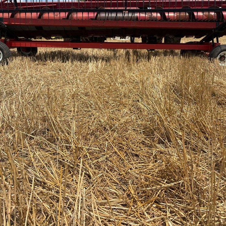 25' Unverferth Head Cart