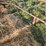 double-bale-feeder-#1-7473-image-2