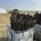 125x-5ft-used-t-posts-image-3