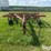 international-55-image-2