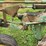 john-deere-450-image-13