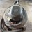 craftsman-16-gallon-6.25-peak-hp-wet-dry-vacuum-image-6