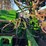 john-deere-1890-image-8