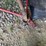 new-holland-28-image-4