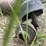 farm-king-y750r-image-9