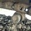 2002-komatsu-pc600-lc-6-image-35