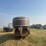 1976-w&w-stock-trailer-image-2