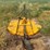 rotary-mower-image-4