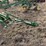 john-deere-pull-type-two-bottom-plow-image-8