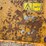 cat-72"-336-excavator-bucket-image-15