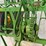 1948-john-deere-bw-image-38