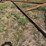 #2660-•-fair-oaks-18'-x-50'-lane-plane-inv#2660-image-4
