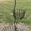 #158-•-metal-art---(3)-flower-pot-stand-image-1