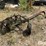 john-deere-no.5-image-7