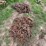 #9961-•-tractor-tire-chains-image-4