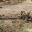 john-deere-no.5-image-2