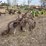 john-deere-pull-type-two-bottom-plow-image-5
