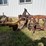 #9907-•-allis--chalmers-3-bottom-plow-image-4
