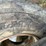 #9931-•-(2)-long-march-128-tires-image-3