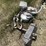 milk-buckets,-calf-carries,-yard-light-6425-image-3
