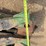 john-deere-corn-head-row-units-image-20
