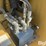 1992-raven-s-image-11