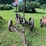 #9913-•-international-1-bottom-plow-image-3