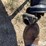 hesston-840-image-15