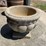 concrete-planter-and-wood-barrel-image-4