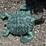 #108-•-metal-art---medium-teal-turtle-image-3