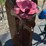 #156-•-metal-art---medium-brown-cactus-w/-pink-flowers-image-3
