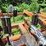 allis-chalmers-1500-image-17