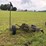 7'-new-idea-pull-type-sickle-bar-mower-image-4