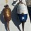 #130-•-metal-art---(2)-armadillos-(texas-&-brown)-image-3