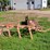 #9910-•-allis-chalmers-snap-coupler-4-bottom-plow-image-9