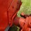 1951-allis-chalmers-wd-image-27