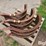 case-ih-2388-image-1