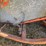 #9904-•-allis-chalmers-corn-chopper-image-13