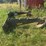 lackender-boomer-image-3